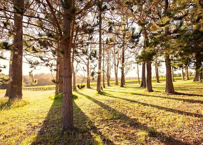 Ruse Estate Retreat Margaret River