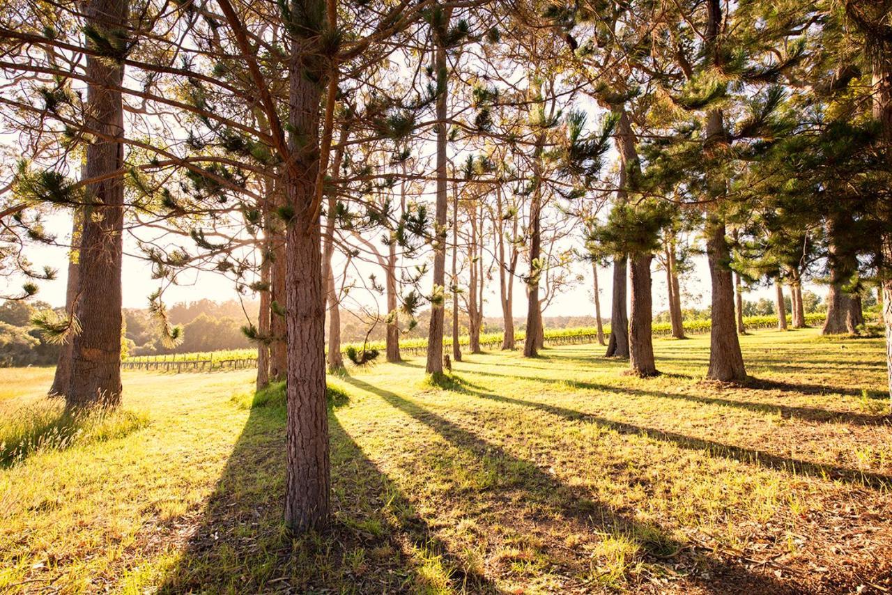 Ruse Estate Retreat Margaret River Villa Rosa Glen